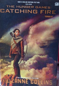 Image of Catching Fire (Tersulut)